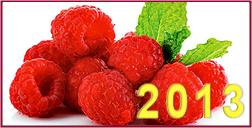 ����� �������-2013: ��������� � ������ �����