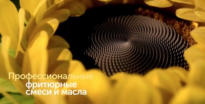 SolPro - ������������ ���� � ���������