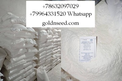 ���� ��������� ������ ���� - ����� �� �� ����