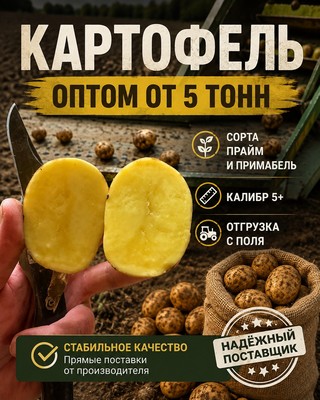 ��������� ����� - ����� ����� � ���������
