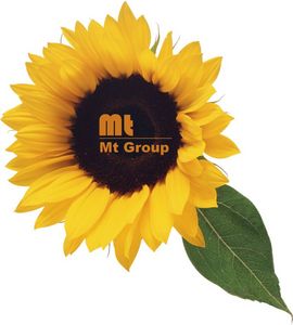 Mt Group Ltd.