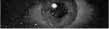 grey_light