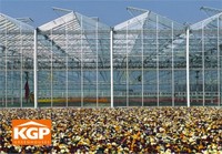 KGP Greenhouses 